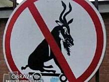 Fot. lolopopa, Kurczak z czyśćca rodem (stary przepis babci)