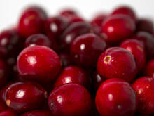 Fot. Wkn, Żurawina amerykańska - korale zdrowia