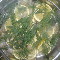 dorsz w sosie cytrynowo-koperkowym