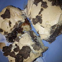 Kruszonka od Ani (ala pleśniak)