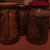 Płaty śledziowe w occie