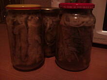 Fot. agulka8204, Płaty śledziowe w occie