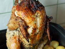 Fot. MAGDAITYLE, Kurczak na bani