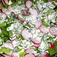 Sałata z sosem koperkowym i rzodkiewką