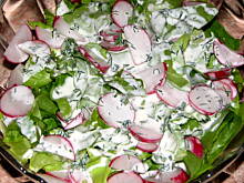 Fot. lexi27, Sałata z sosem koperkowym i rzodkiewką