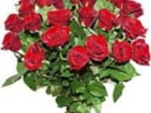 Fot. PATI :), Dziś imieniny świętują ewa28 , wipat , eweco, ewa7 , kasnik , Ewa1982 , ave82 oraz spóźnione życzenia urodzinowe dla grazka13 oraz hanka-65:)