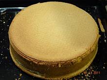 Fot. karintia, Biszkopt zawsze udany