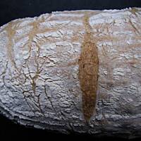 Chleb  na zakwasie z jogurtem