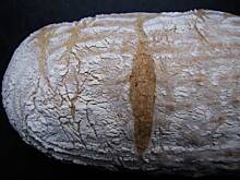 Fot. marialeksandra, Chleb  na zakwasie z jogurtem