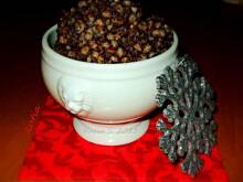 Fot. kasia_sach, Kutia