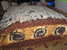 Fot. angela, Czarna Róża