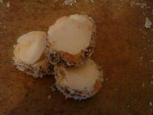 Fot. marzena20, Ciasteczka torciki