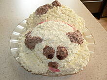 Fot. gosialowicz, urodzinowy pies