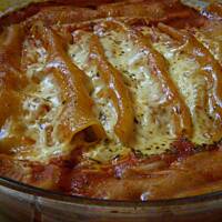 Cannelloni z mięsem mielonym w sosie pomidorowym