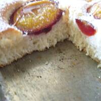 Biały Puszek wg Pandzi