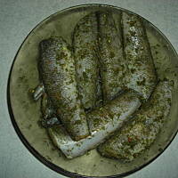 nototenia smażona z koperkiem