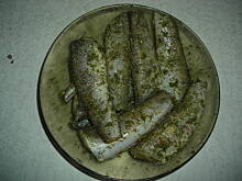 Fot. maniora, nototenia smażona z koperkiem