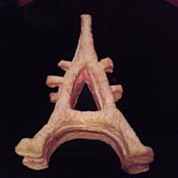 Francuska 'Wieża Eiffla' z malinami