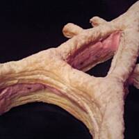 Francuska 'Wieża Eiffla' z malinami