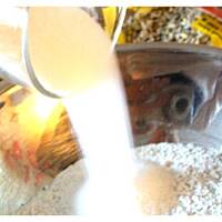 Kruche Ciasteczka Orzechowo-Słonecznikowe