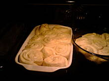 Fot. sylwiax, gniazda szerszeni