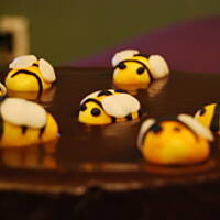 Ciasto miodowo-czekoladowe z pszczółkami Nigelli