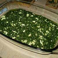 Cannelloni mięsno-szpinakowe (mama karmiąca)