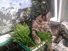 Fot. Lusy, Moje dziewczynki