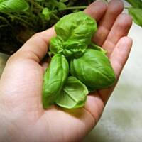 Kurczak z suszonymi pomidorami i bazylią