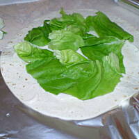 tortilla (mama karmiąca)