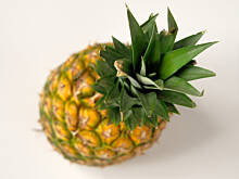 Fot. Wkn, Kółko z dziurką - czyli parę zdań o obieraniu ananasa