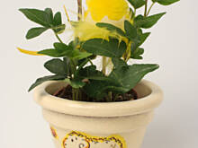 Fot. Wkn, Wielkanocna doniczka - malujesz farbą, naklejasz serwetkę i gotowe!