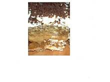 Fot. tolek05, Ciasto toffi pod osłonką