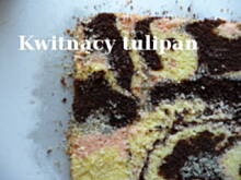 Fot. zauberi, Kwitnący tulipan