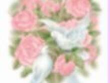 Fot. PATI :), Dziś rocznice ślubu obchodzi solka  :)