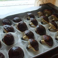 slodkie grzybki i rurki