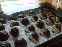 Fot. balbinka1001, slodkie grzybki i rurki