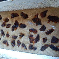 Ciasto razowe z daktylami