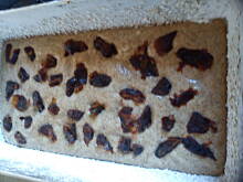 Fot. rudy madzik, Ciasto razowe z daktylami