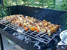 Fot. aisza2w, Szaszłyki Ani