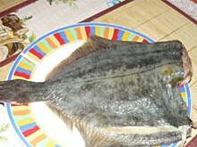 Fot. danusia19671, Flądra z grilla