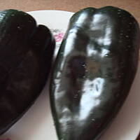 Poblano papryka z serem chihuahua