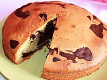 Fot. laleczka20, Zebra