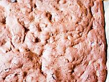 Fot. wjosna, Ultraczekoladowe Brownie z orzechami