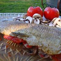 Szczupak grilowany z wkładką warzywną