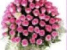 Fot. PATI :), Dziś życzenia z okazji imienin płyną do : Julia100 , jola995 , Jola666 , swiatowska :)