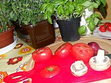 Fot. mysza75, Grillowane pomidory nadziewane  jajkiem