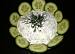 Fot. filonka86, Tzatziki (Cacyki)