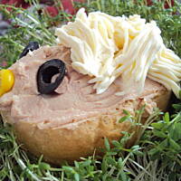 Nie mięsny jeż, a raczej stadko!