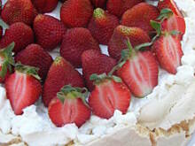 Fot. olusia23, Pavlova